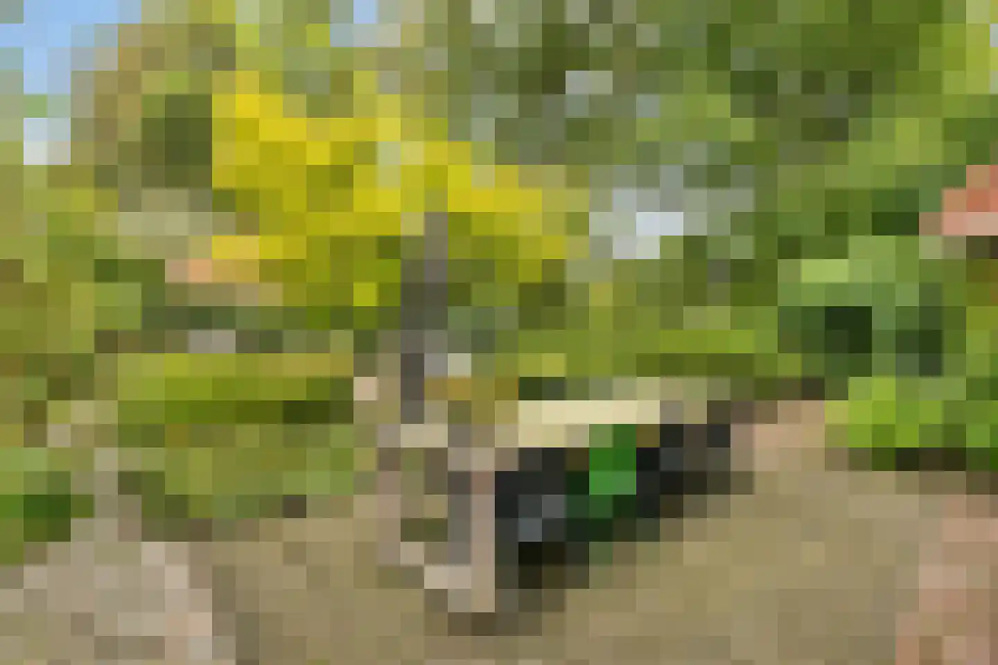 Isaäc da Costalaan 21 Bussum thumbnail 31