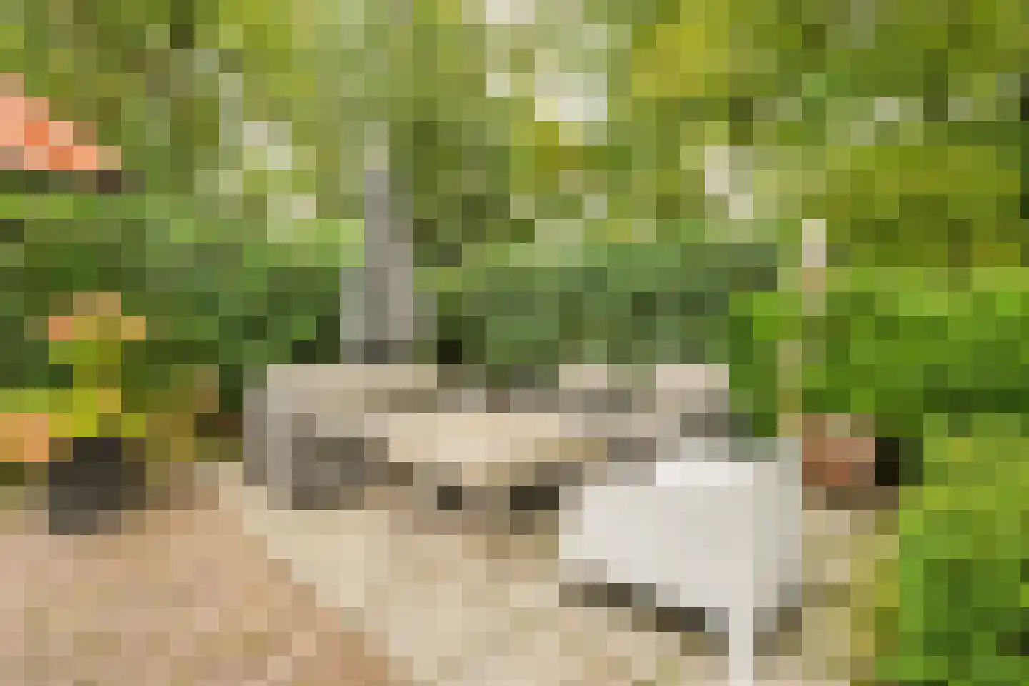 Isaäc da Costalaan 21 Bussum thumbnail 32