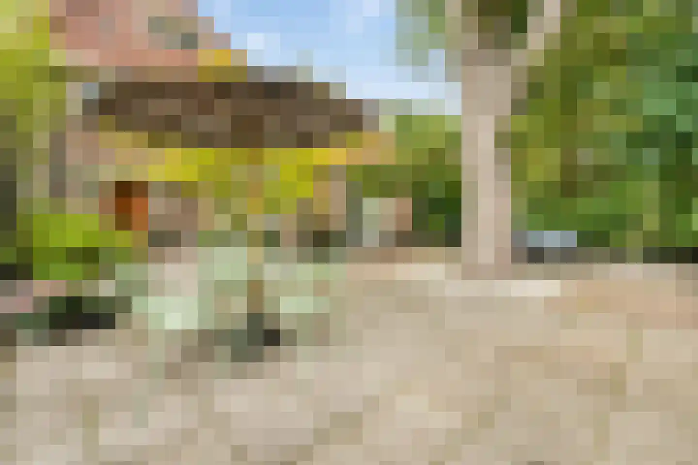 Isaäc da Costalaan 21 Bussum thumbnail 35