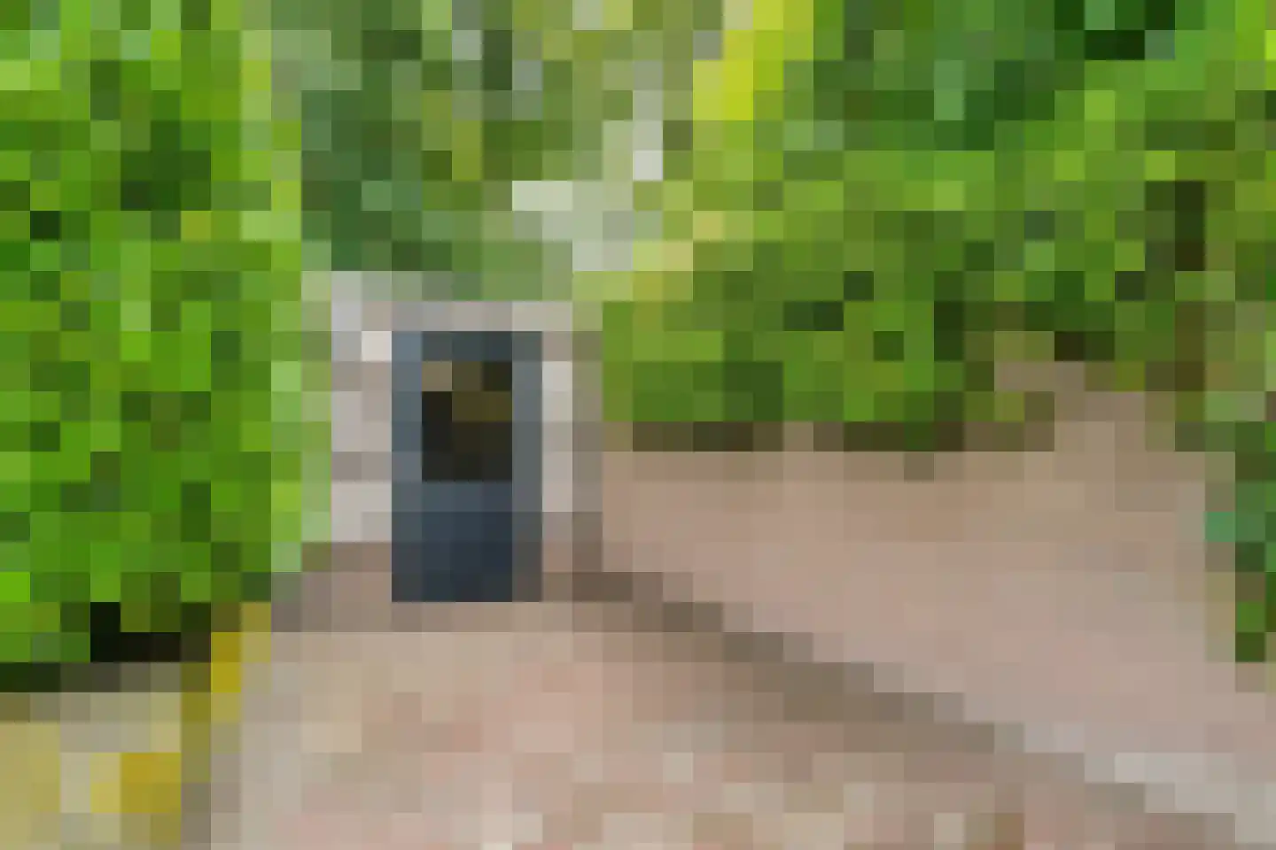 Isaäc da Costalaan 21 Bussum thumbnail 36