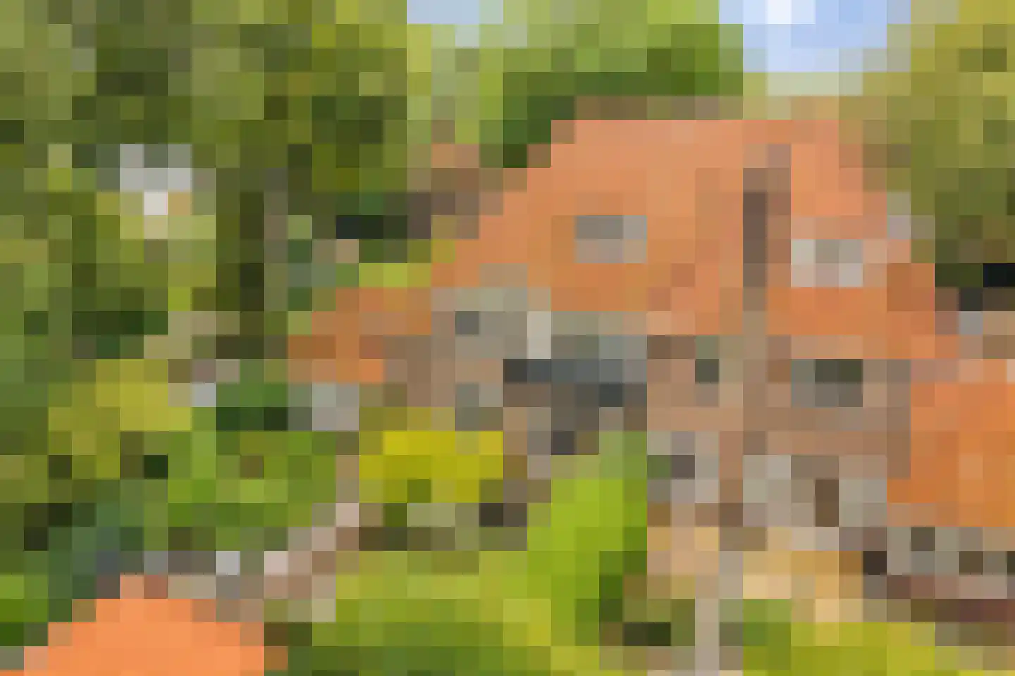 Isaäc da Costalaan 21 Bussum thumbnail 4