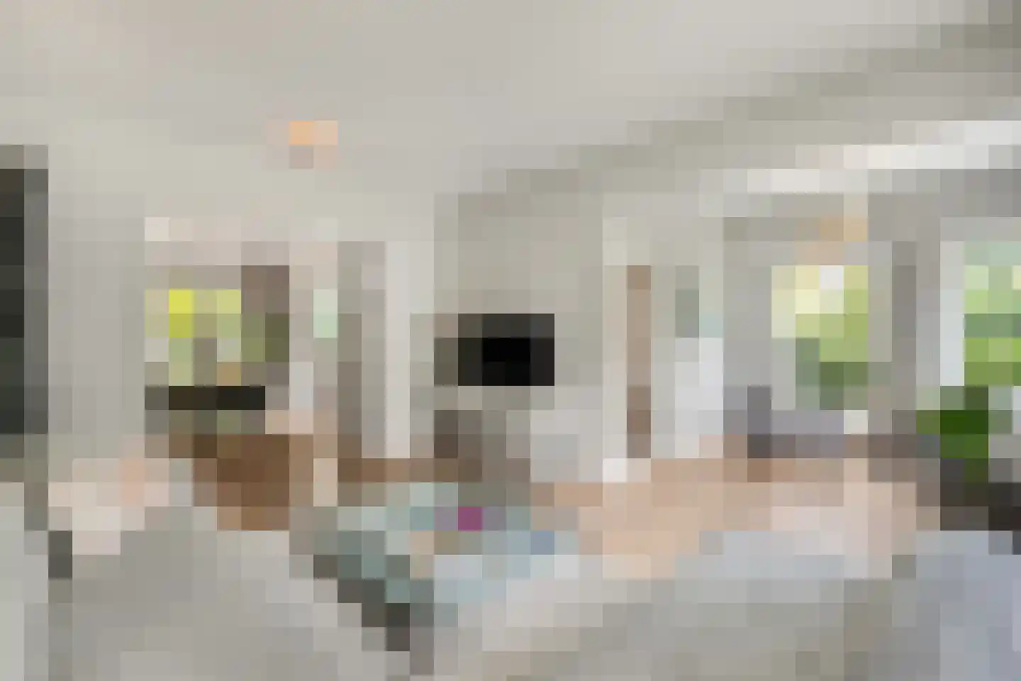 Isaäc da Costalaan 21 Bussum thumbnail 43