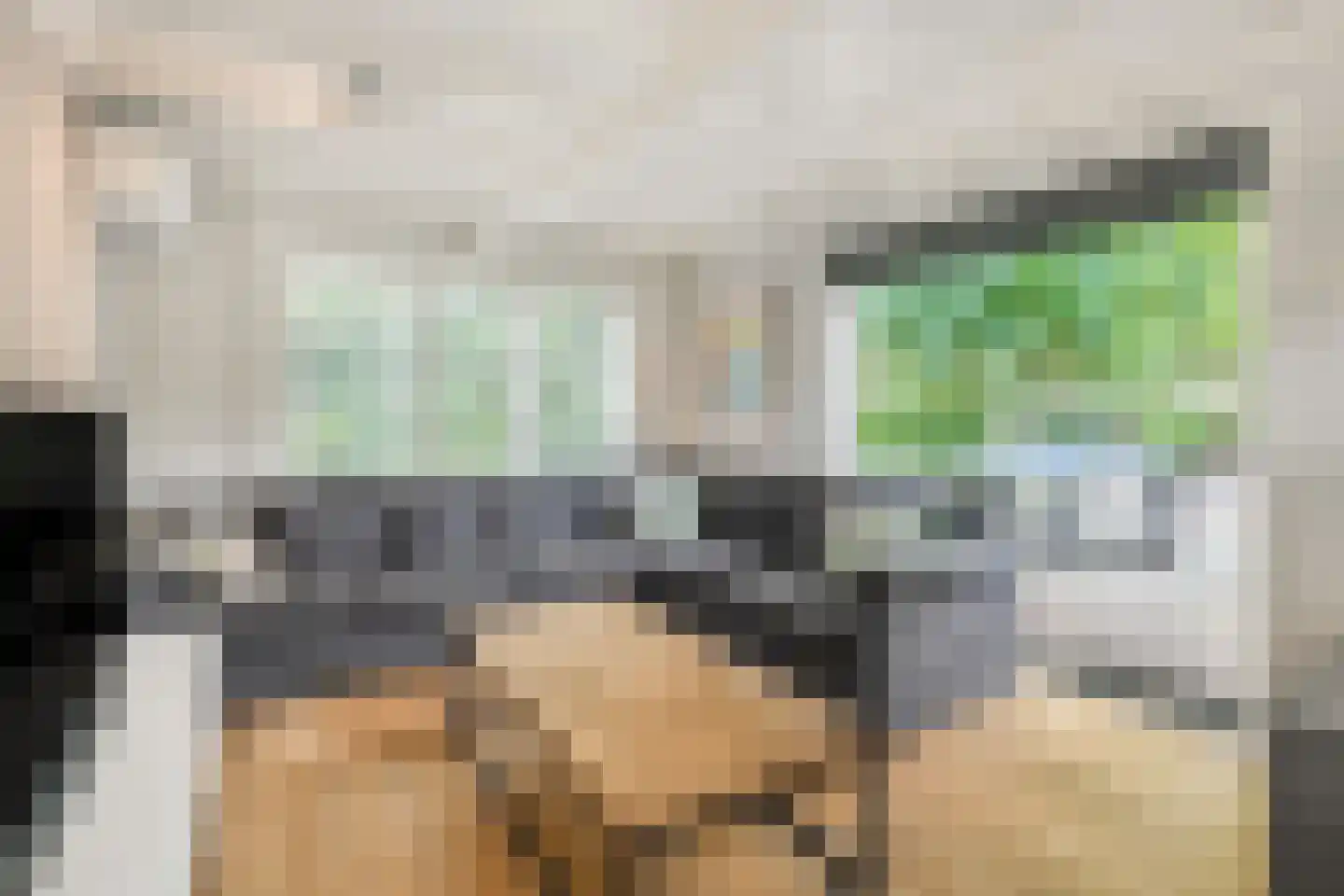 Isaäc da Costalaan 21 Bussum thumbnail 46