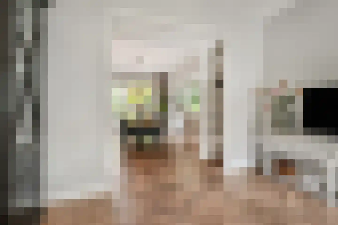 Isaäc da Costalaan 21 Bussum thumbnail 52