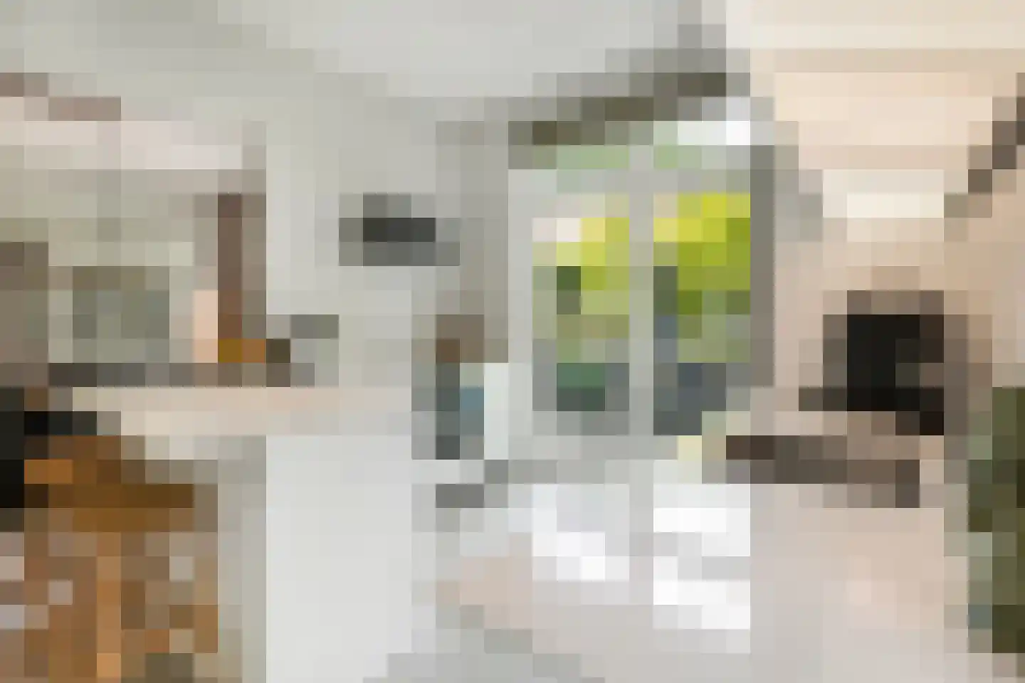 Isaäc da Costalaan 21 Bussum thumbnail 58