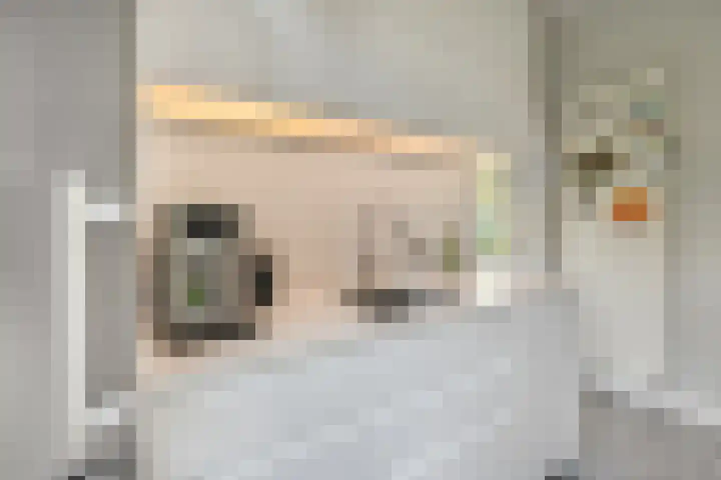 Isaäc da Costalaan 21 Bussum thumbnail 59