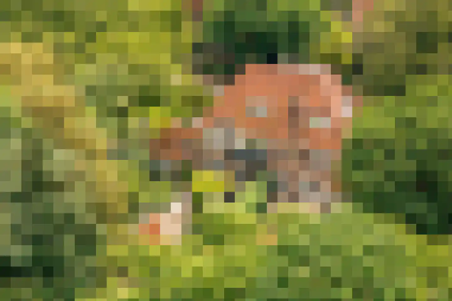 Isaäc da Costalaan 21 Bussum thumbnail 7