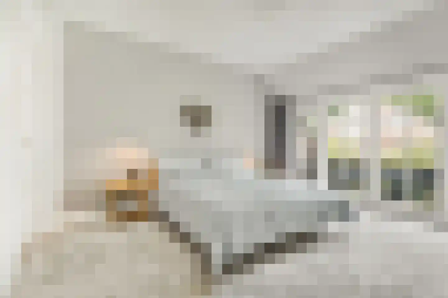Isaäc da Costalaan 21 Bussum thumbnail 74