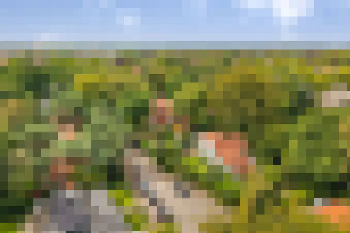 Isaäc da Costalaan 21 Bussum thumbnail 8