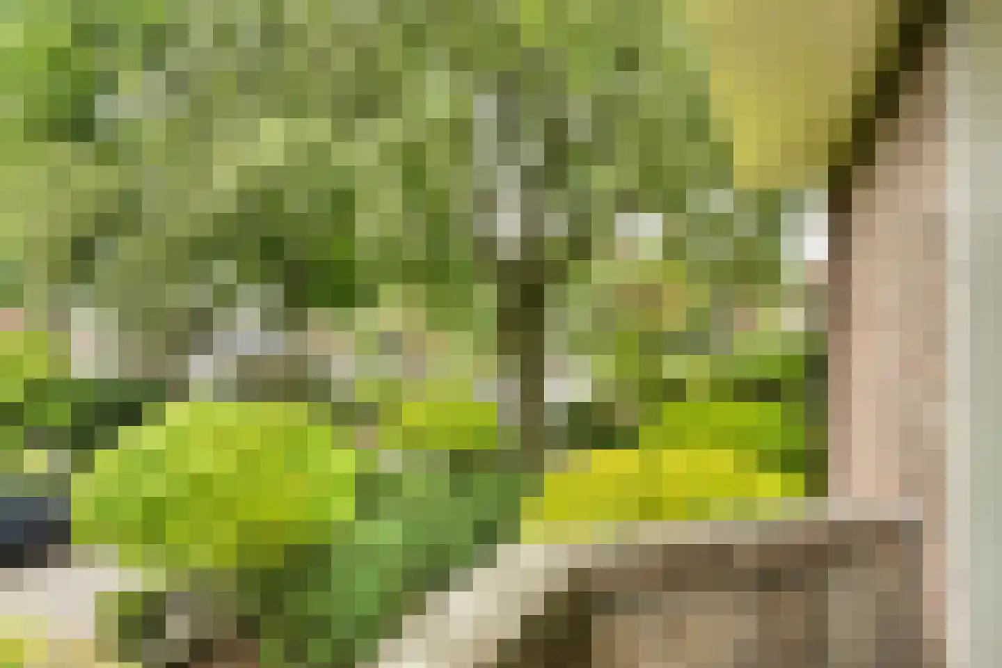 Isaäc da Costalaan 21 Bussum thumbnail 85