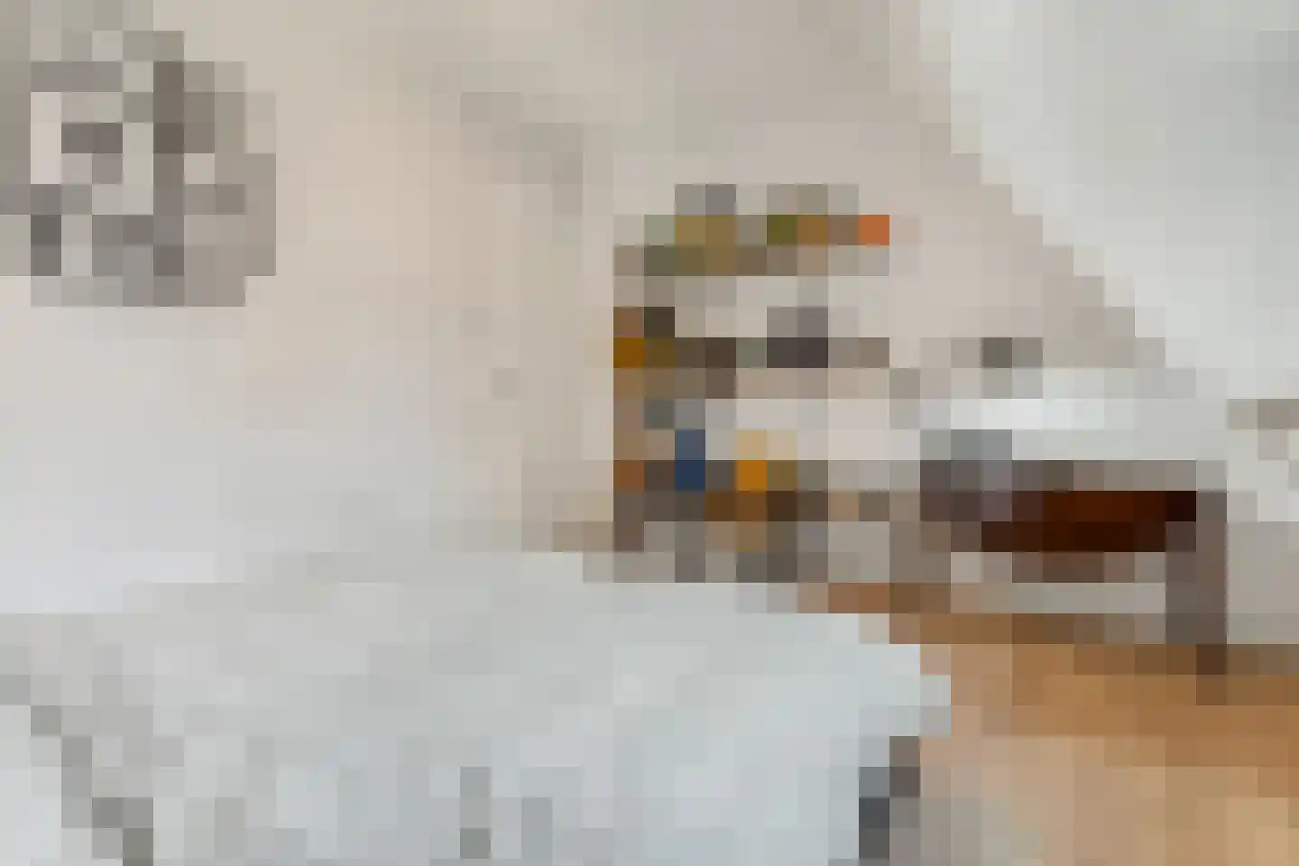 Isaäc da Costalaan 21 Bussum thumbnail 94