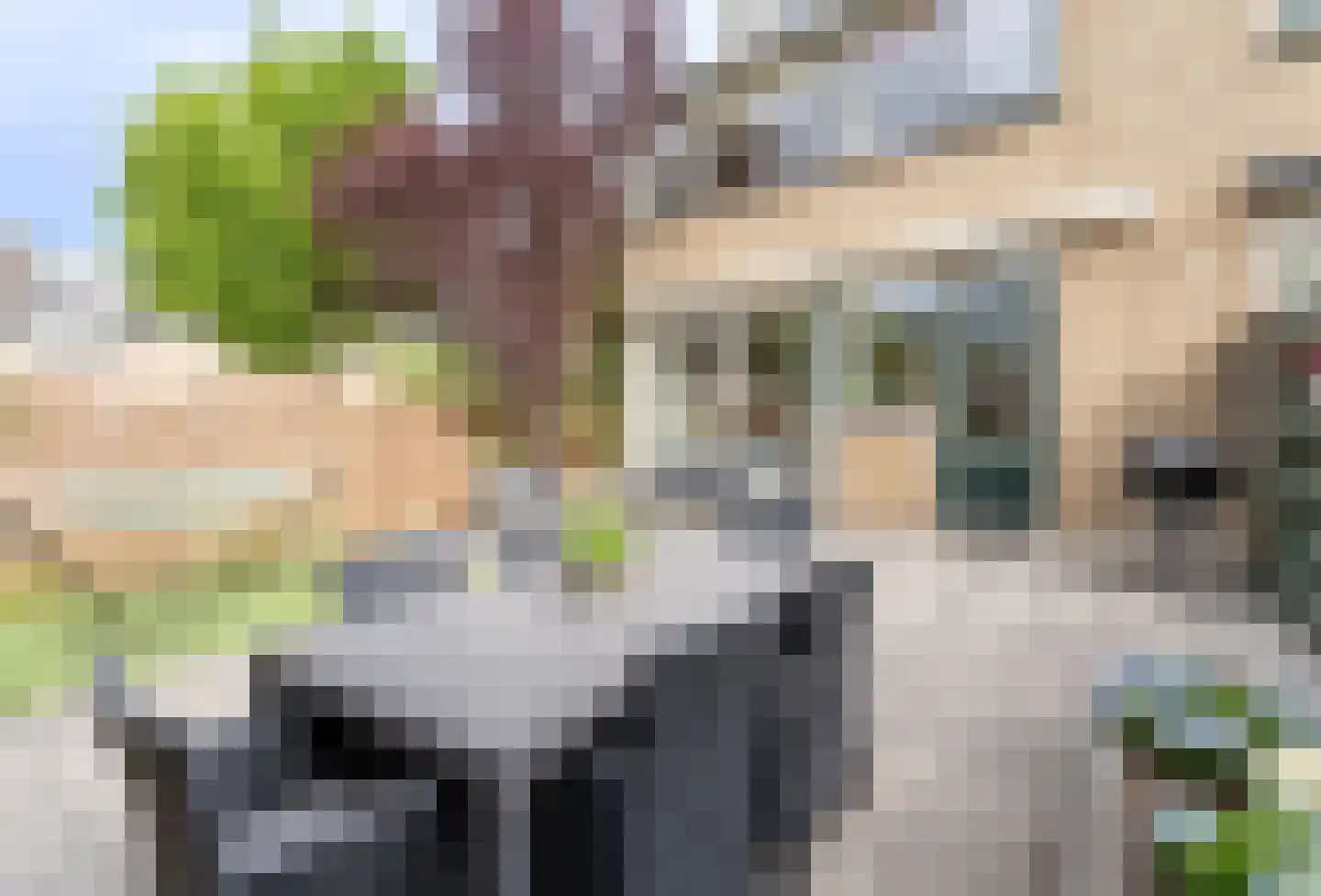 Isaäc da Costastraat 10 Hellevoetsluis thumbnail 5