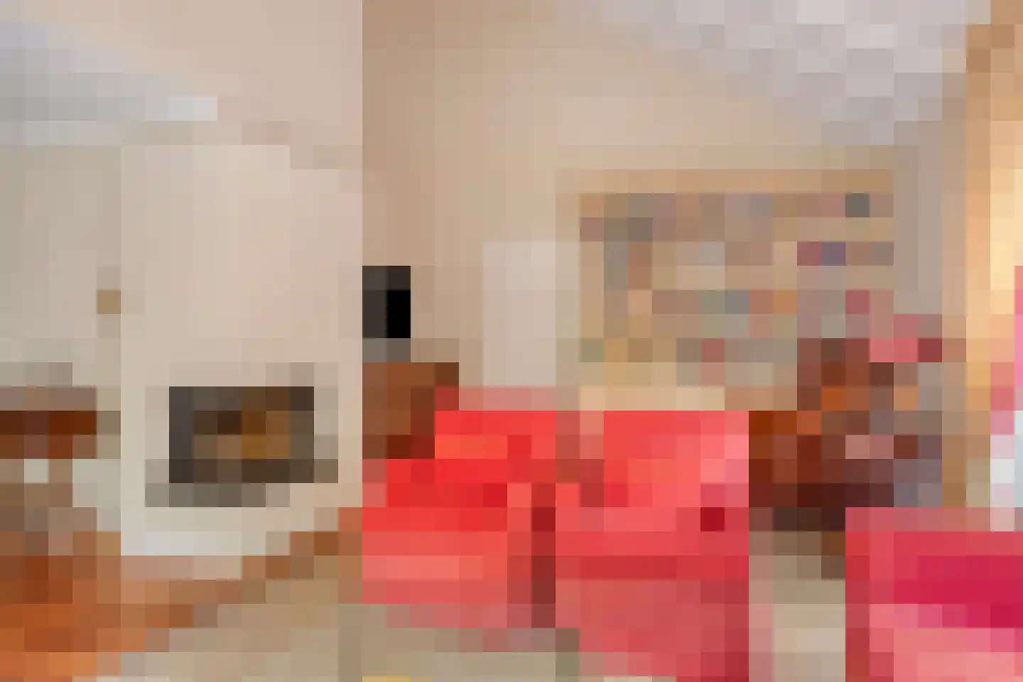 Isaäc da Costastraat 10 Hengelo thumbnail 13