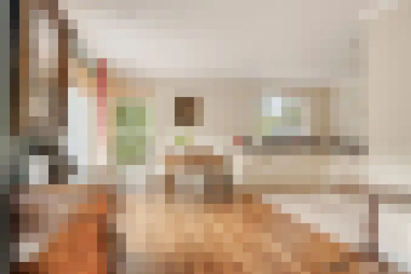 Isaäc da Costastraat 10 Hengelo thumbnail 18