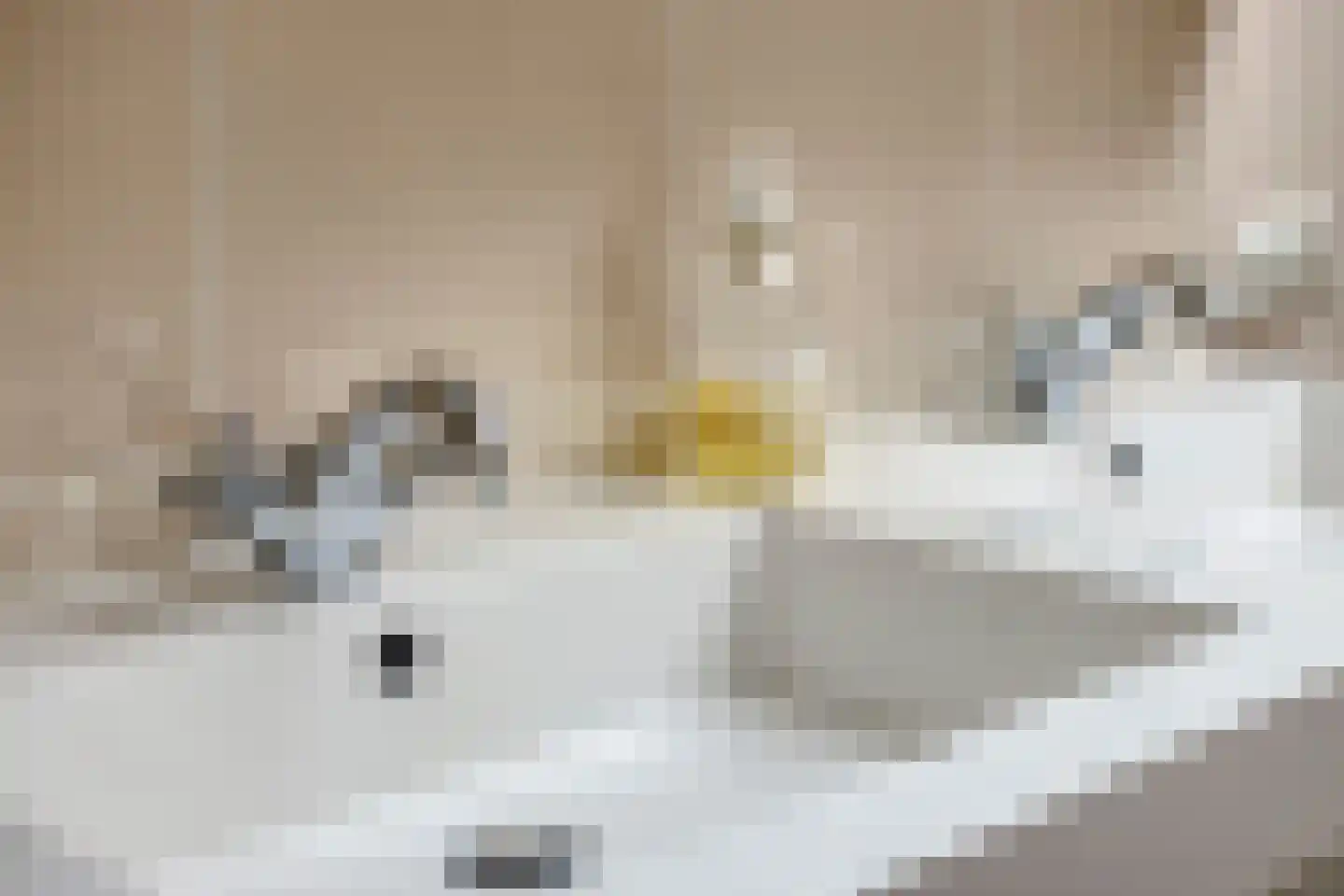 Isaäc da Costastraat 10 Hengelo thumbnail 32