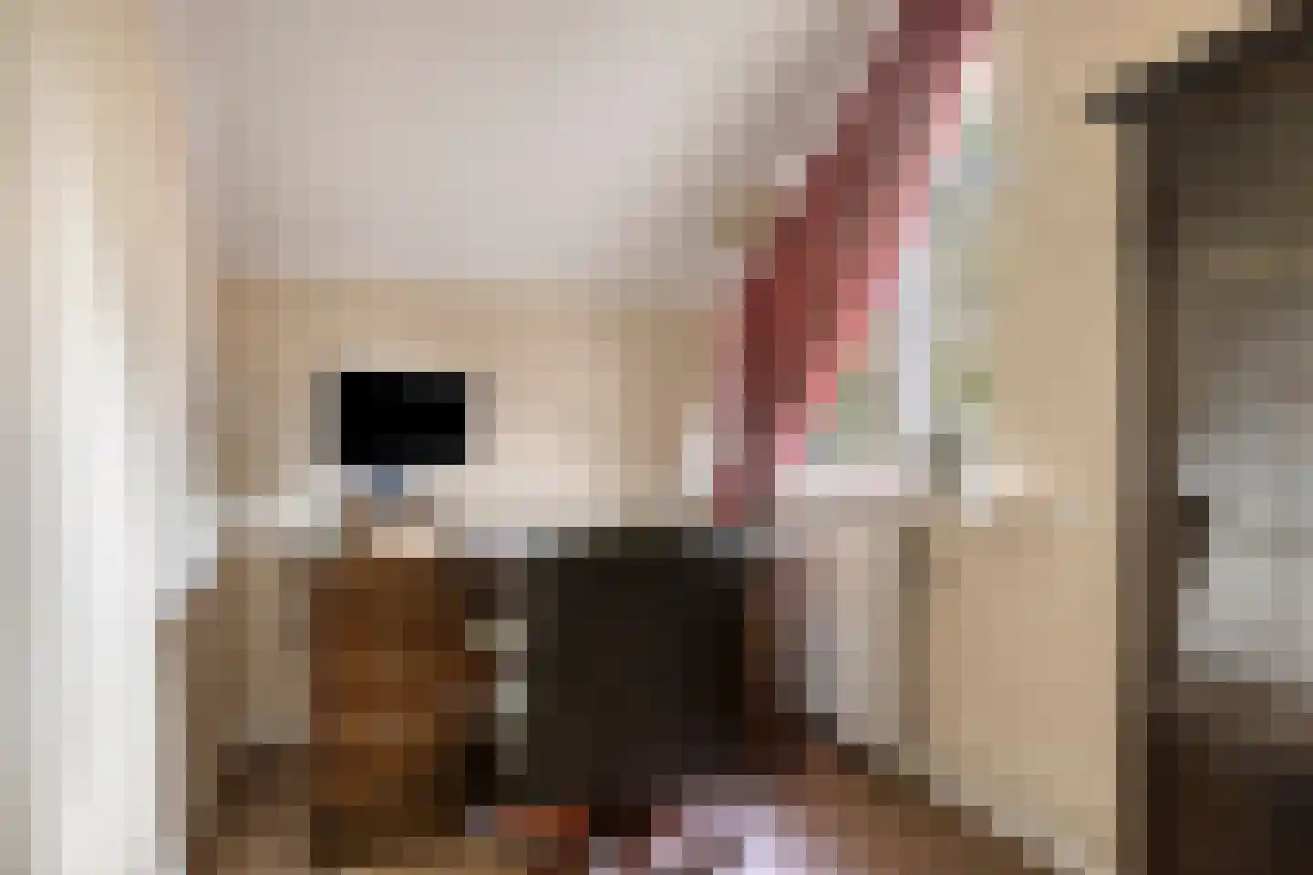 Isaäc da Costastraat 10 Hengelo thumbnail 35