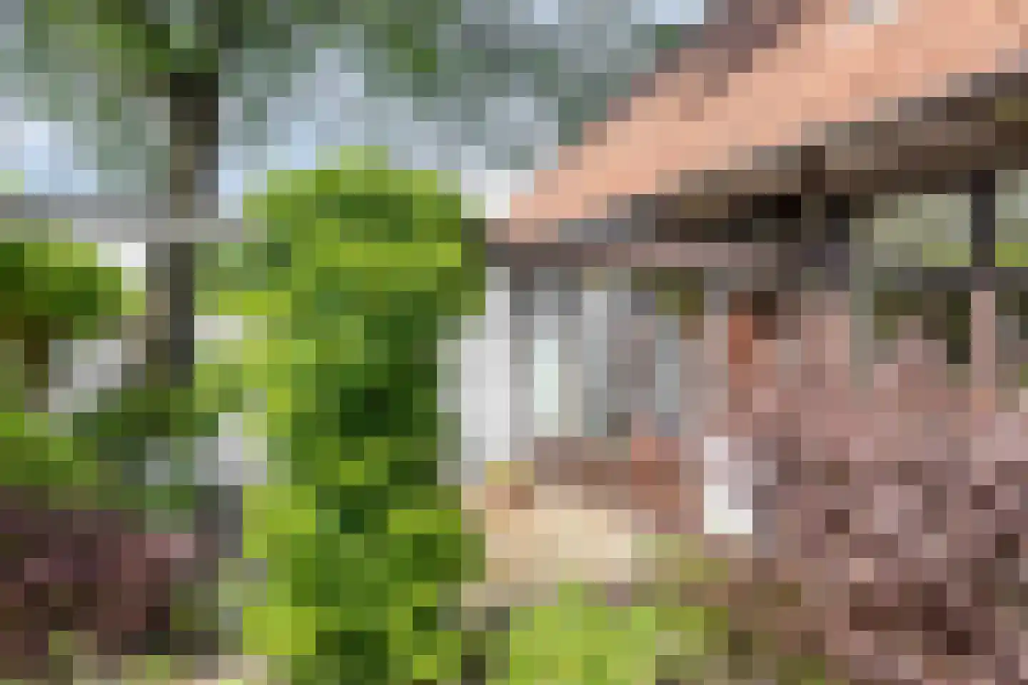 Isaäc da Costastraat 16 Hengelo thumbnail 37