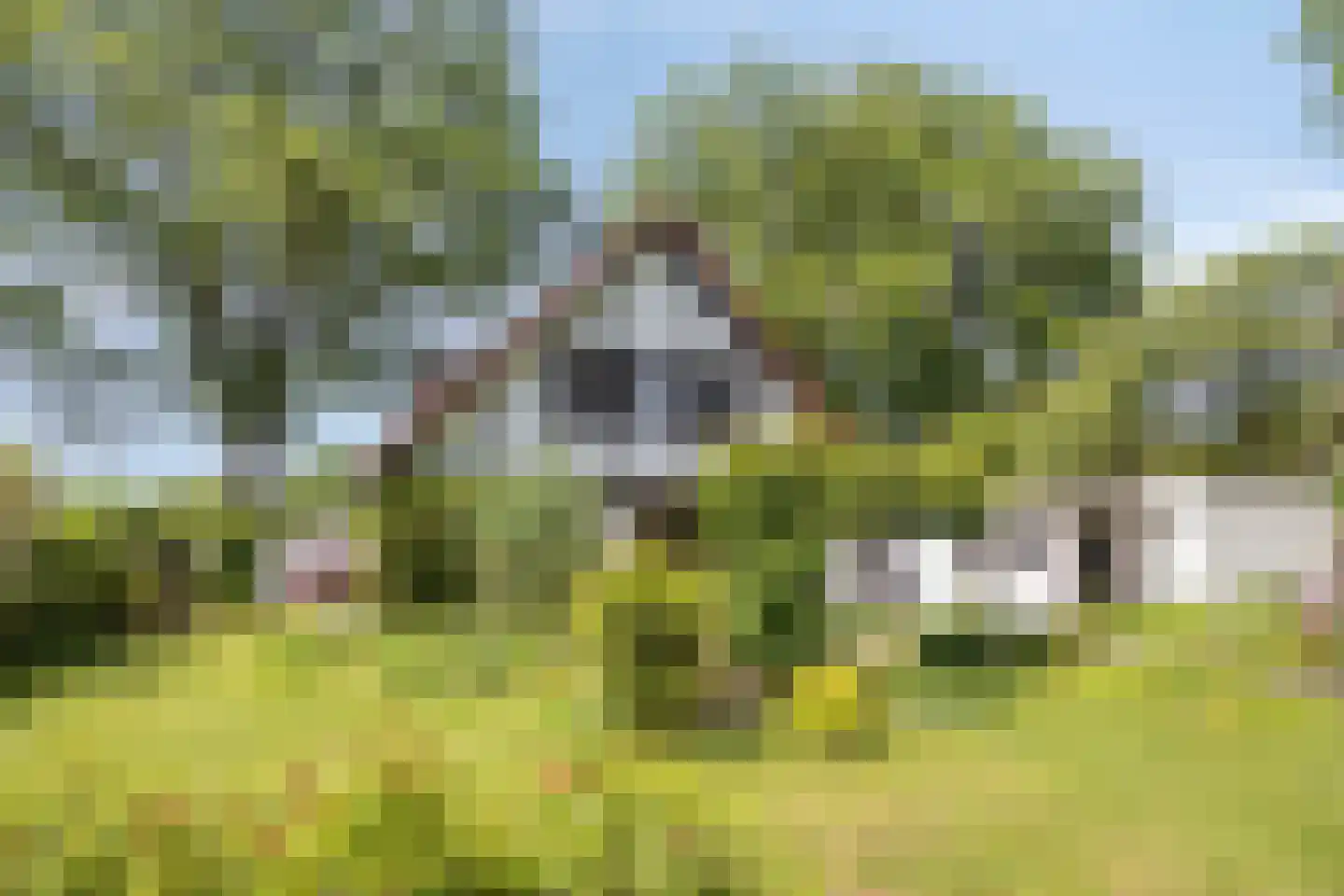 Isaäc da Costastraat 16 Hengelo thumbnail 41