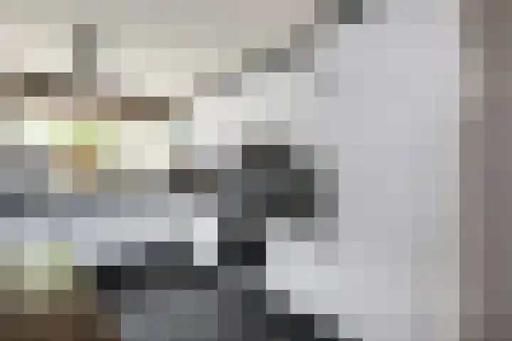 Isaäc da Costastraat 3 Sommelsdijk thumbnail 10