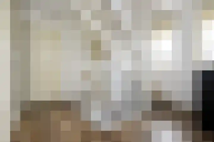Isaäc da Costastraat 3 Sommelsdijk thumbnail 12