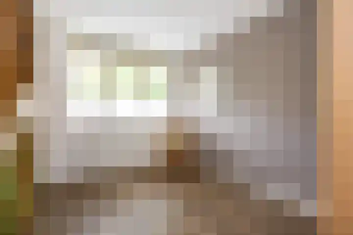 Isaäc da Costastraat 3 Sommelsdijk thumbnail 15