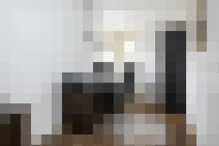 Isaäc da Costastraat 3 Sommelsdijk thumbnail 16