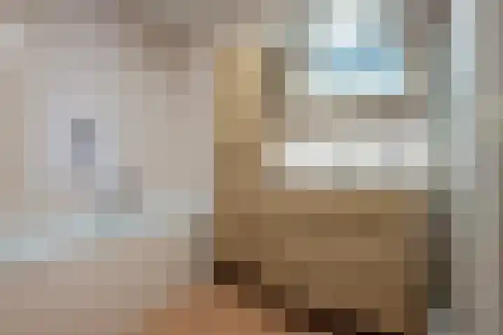 Isaäc da Costastraat 3 Sommelsdijk thumbnail 18