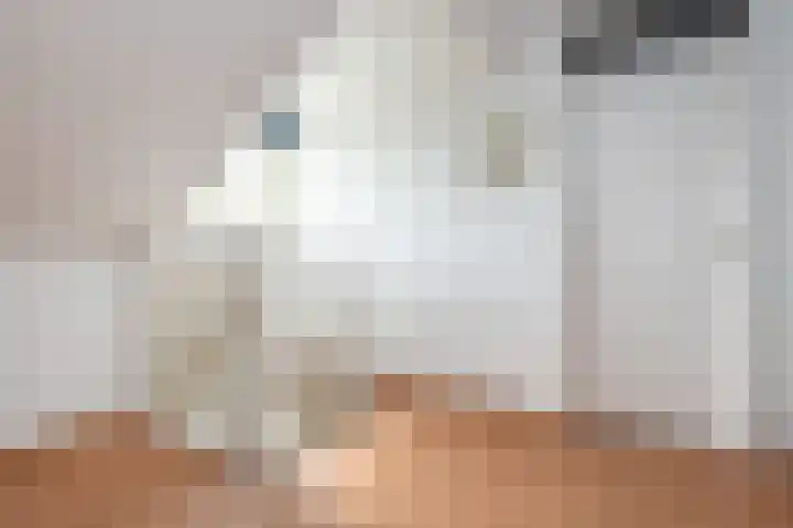 Isaäc da Costastraat 3 Sommelsdijk thumbnail 19