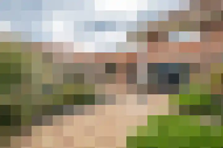Isaäc da Costastraat 3 Sommelsdijk thumbnail 22