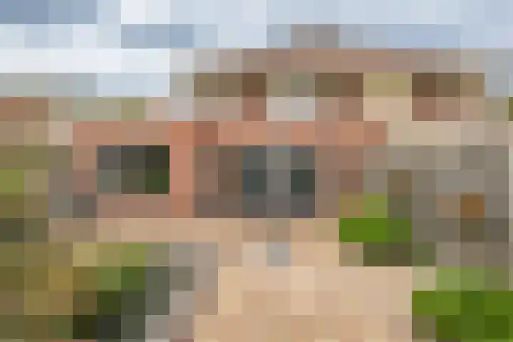 Isaäc da Costastraat 3 Sommelsdijk thumbnail 23