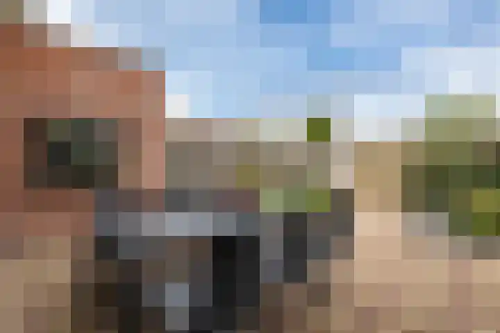 Isaäc da Costastraat 3 Sommelsdijk thumbnail 26