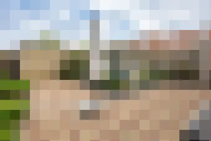 Isaäc da Costastraat 3 Sommelsdijk thumbnail 27