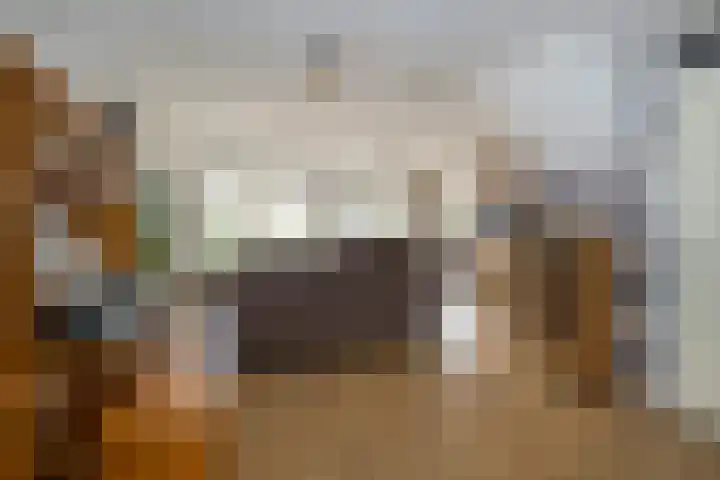Isaäc da Costastraat 3 Sommelsdijk thumbnail 4