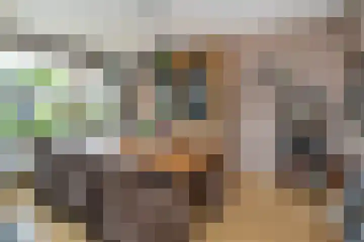 Isaäc da Costastraat 3 Sommelsdijk thumbnail 5