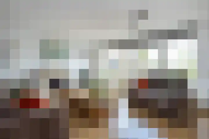 Isaäc da Costastraat 3 Sommelsdijk thumbnail 6