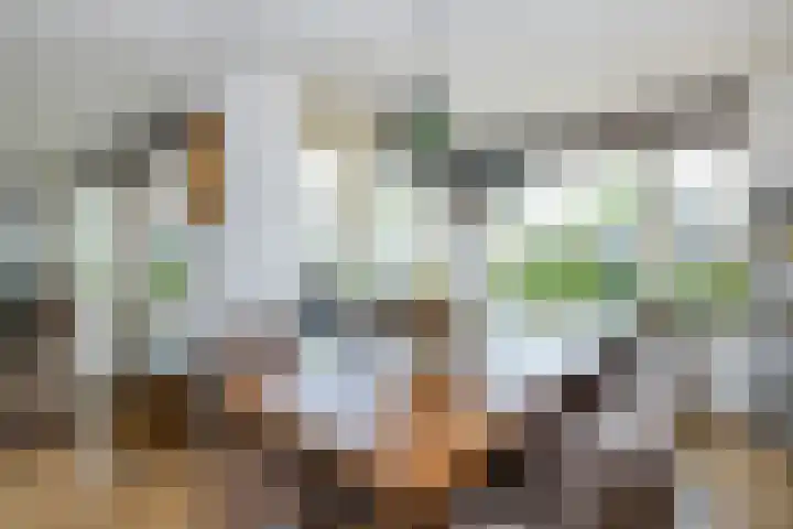 Isaäc da Costastraat 3 Sommelsdijk thumbnail 8