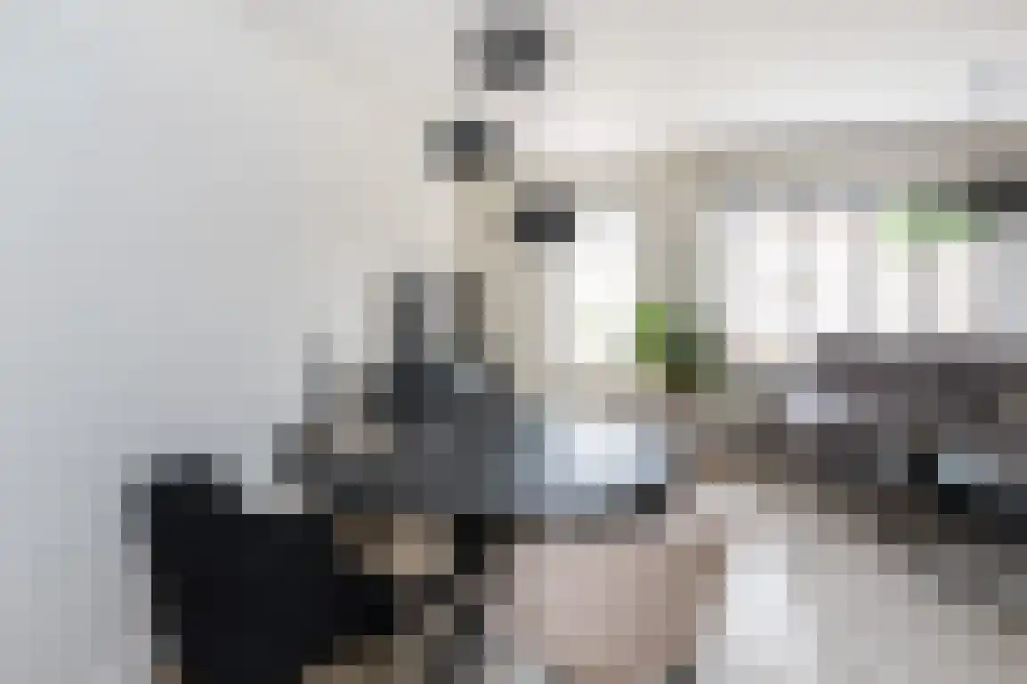 Isaäc da Costastraat 33 Sommelsdijk thumbnail 10