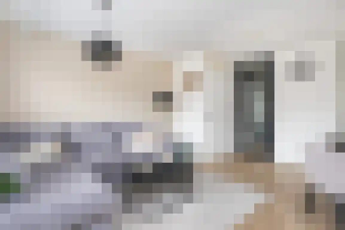 Isaäc da Costastraat 33 Sommelsdijk thumbnail 12