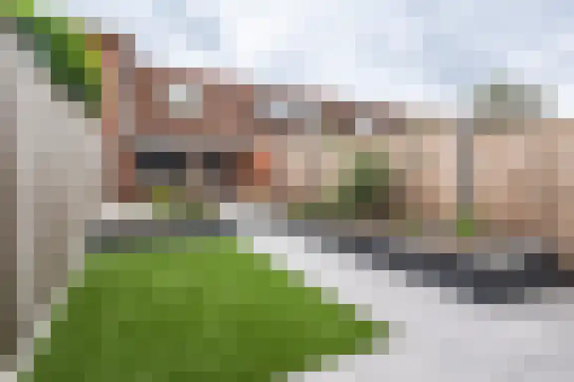Isaäc da Costastraat 33 Sommelsdijk thumbnail 28