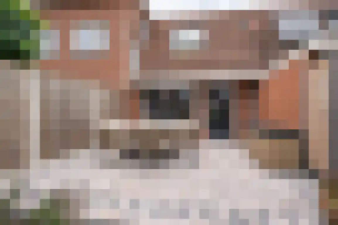 Isaäc da Costastraat 33 Sommelsdijk thumbnail 29