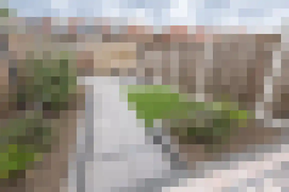 Isaäc da Costastraat 33 Sommelsdijk thumbnail 31