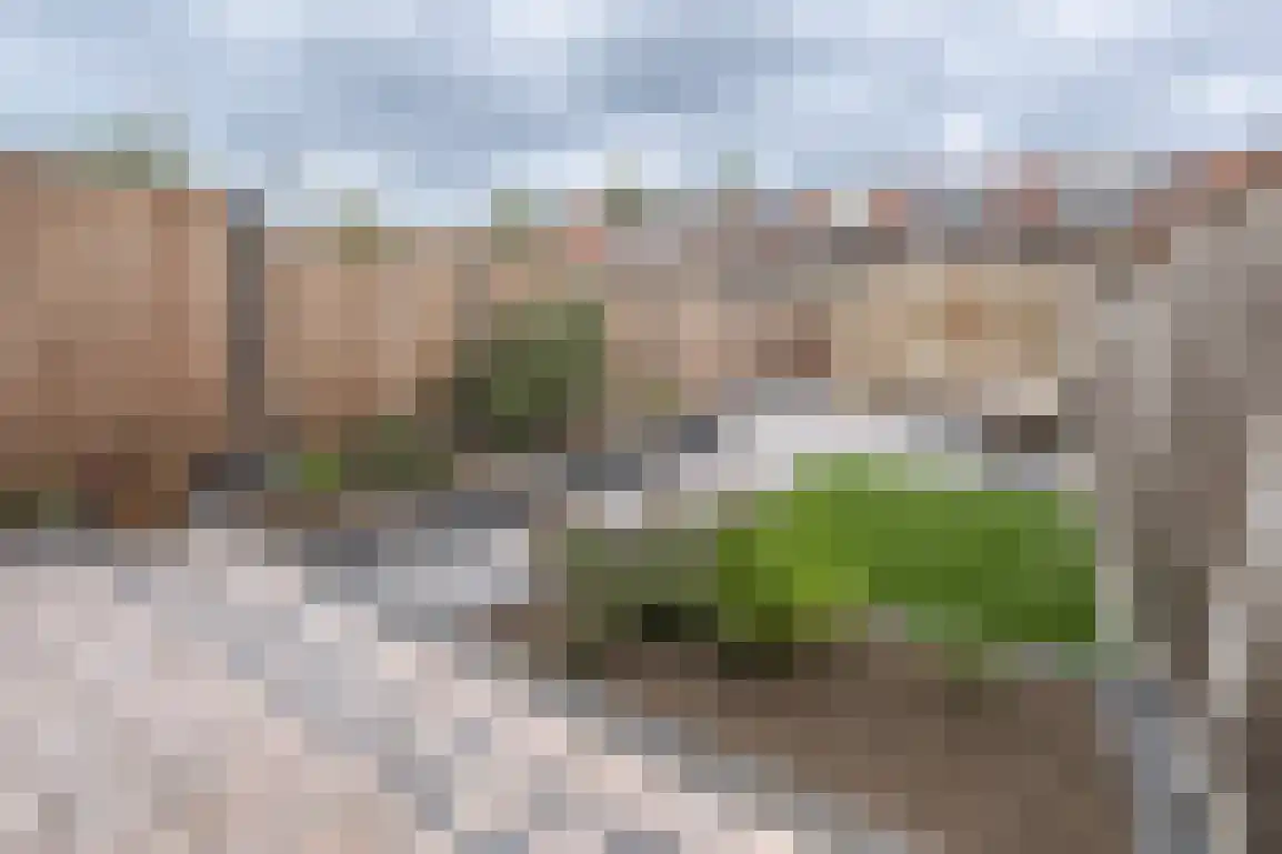 Isaäc da Costastraat 33 Sommelsdijk thumbnail 32