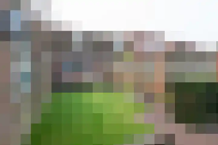 Isaäc da Costastraat 41 Sommelsdijk thumbnail 22