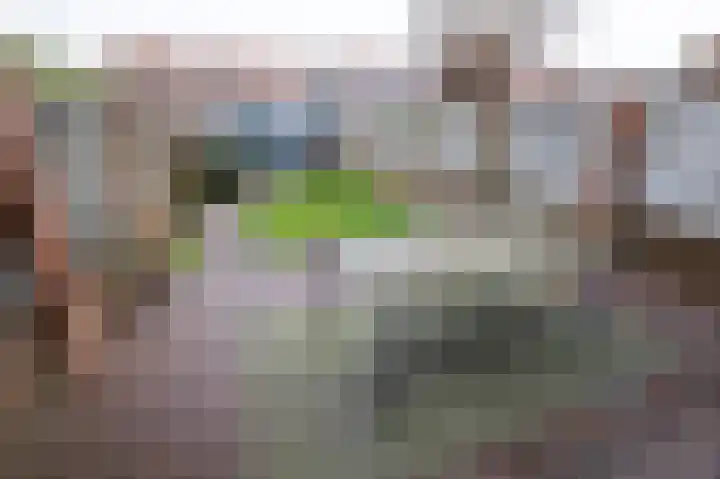 Isaäc da Costastraat 41 Sommelsdijk thumbnail 23