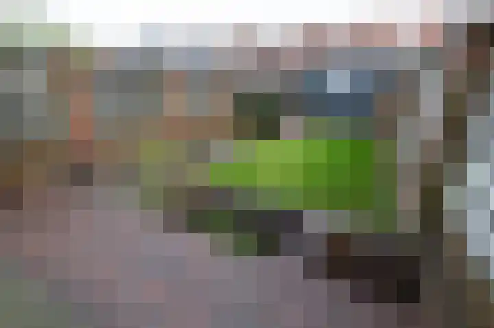 Isaäc da Costastraat 41 Sommelsdijk thumbnail 24