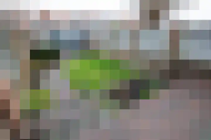 Isaäc da Costastraat 41 Sommelsdijk thumbnail 25