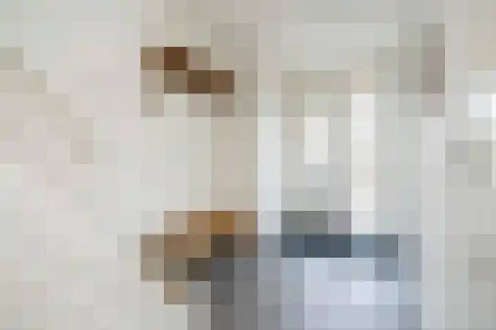 Isaäc da Costastraat 41 Sommelsdijk thumbnail 6