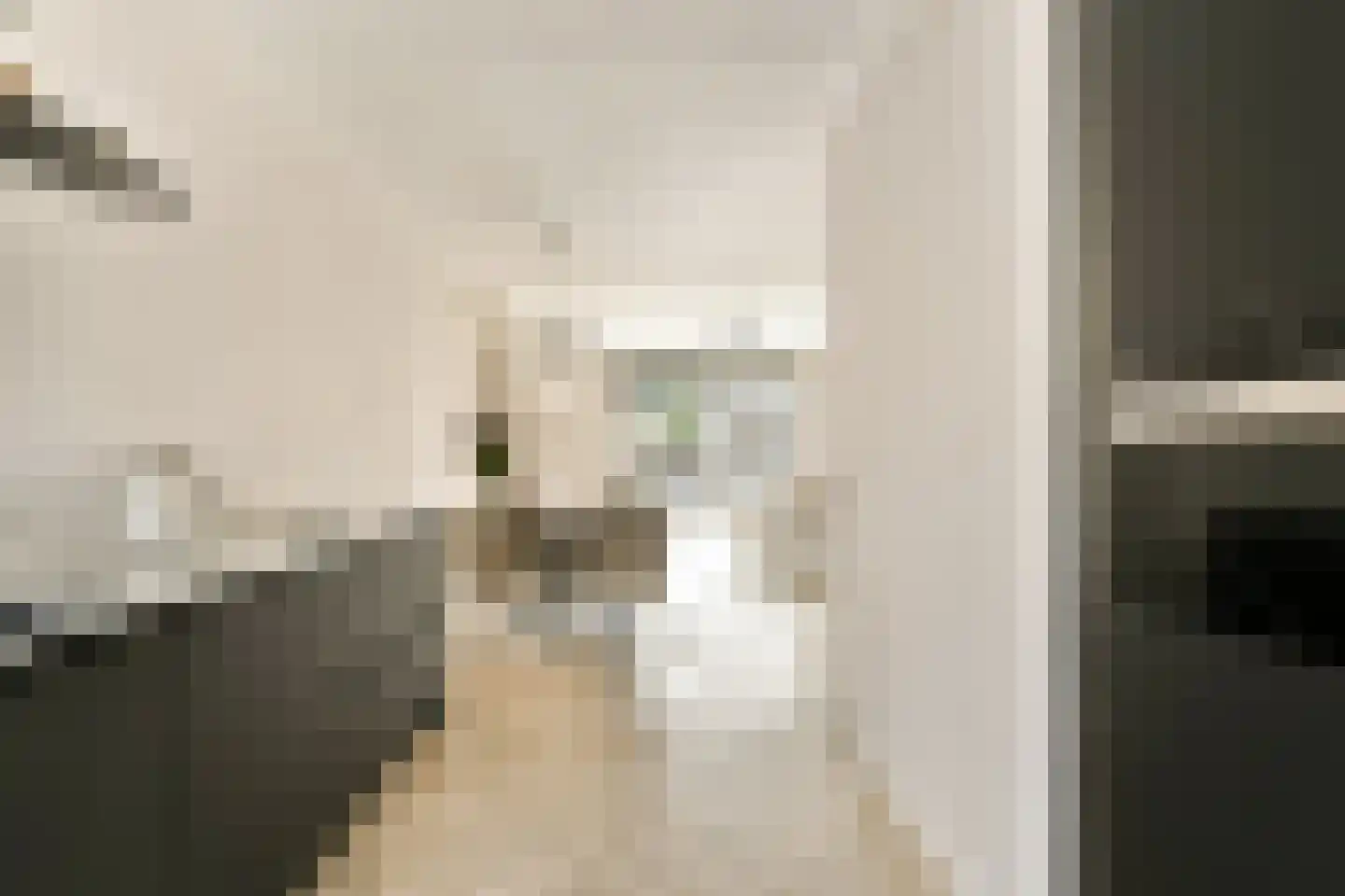 Isaac Israëlslaan 15 Rhoon thumbnail 10
