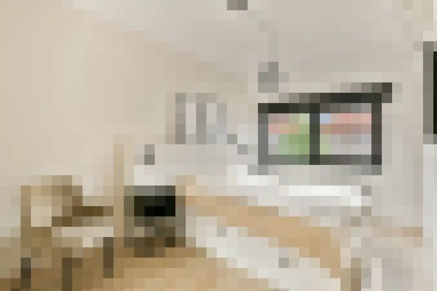 Isaac Israëlslaan 15 Rhoon thumbnail 12