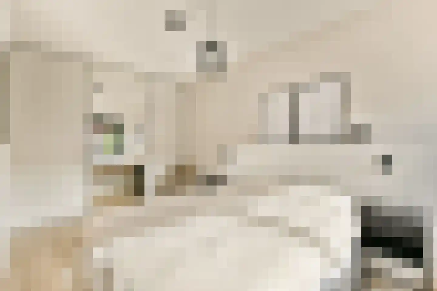 Isaac Israëlslaan 15 Rhoon thumbnail 13